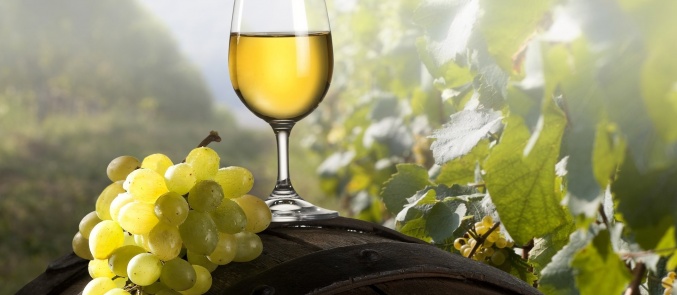 Theopetra Estate: Exuberant wines & spirits highlighting the terroir of Meteora